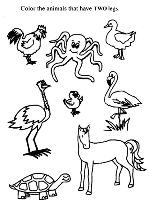 Disegni di animali con due zampe da colorare