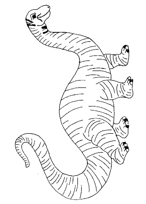 Disegno Brontosauro 2