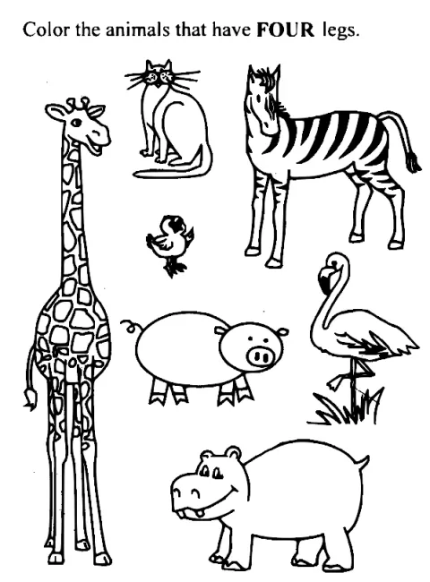 Disegni di animali da colorare