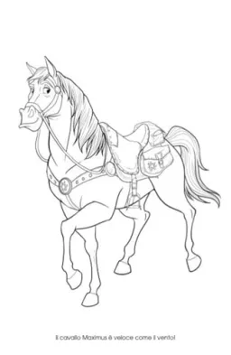 Particolare della confezione Disney Libri 100 Animali da Colorare - Mega Color Disney