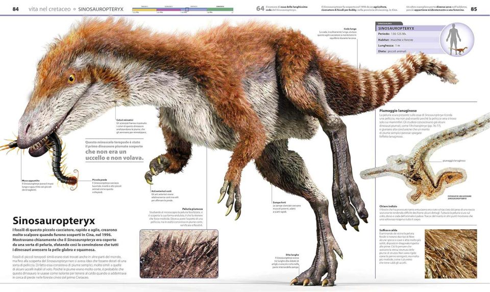 Grande Enciclopedia dei dinosauri - Dinosauro Creataceo