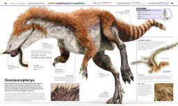 Grande Enciclopedia dei dinosauri - Dinosauro Creataceo