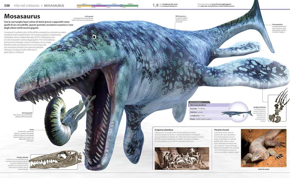 Grande Enciclopedia dei dinosauri - Pagina interna con dinosauro marino