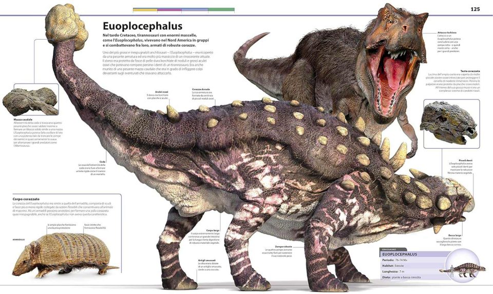 Grande Enciclopedia dei dinosauri - Pagina Interna con Trex e altro dinosauro