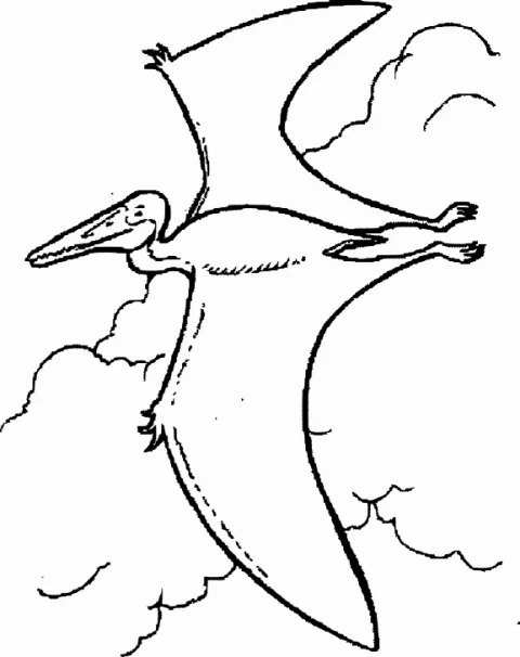 Disegno pterodattilo 2